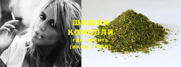 шишки Бронницы