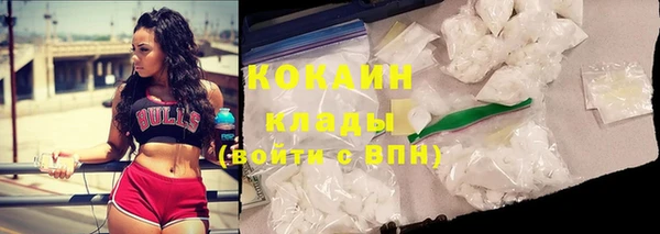 соль ск Бородино