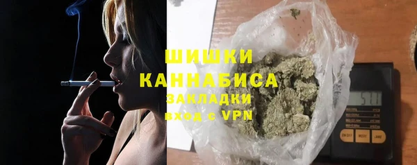 шишки Бронницы