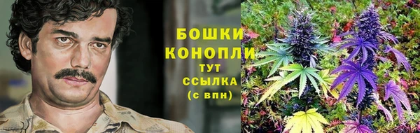 соль ск Бородино