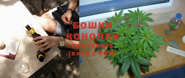 шишки Бронницы