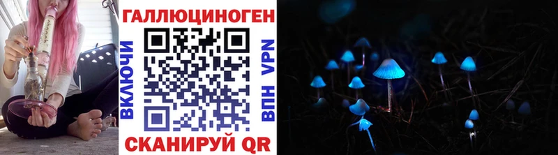 закладки  Венёв  Псилоцибиновые грибы Magic Shrooms 